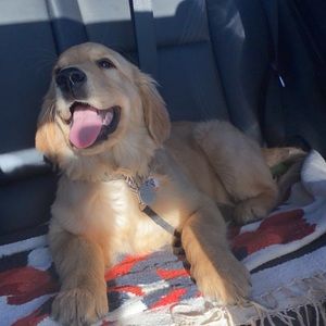 Meet your Posher, Quinn